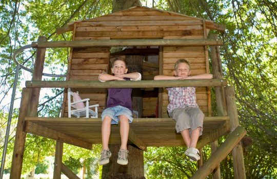 בית עץ לילדים2