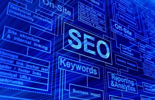 Organic SEO Company2